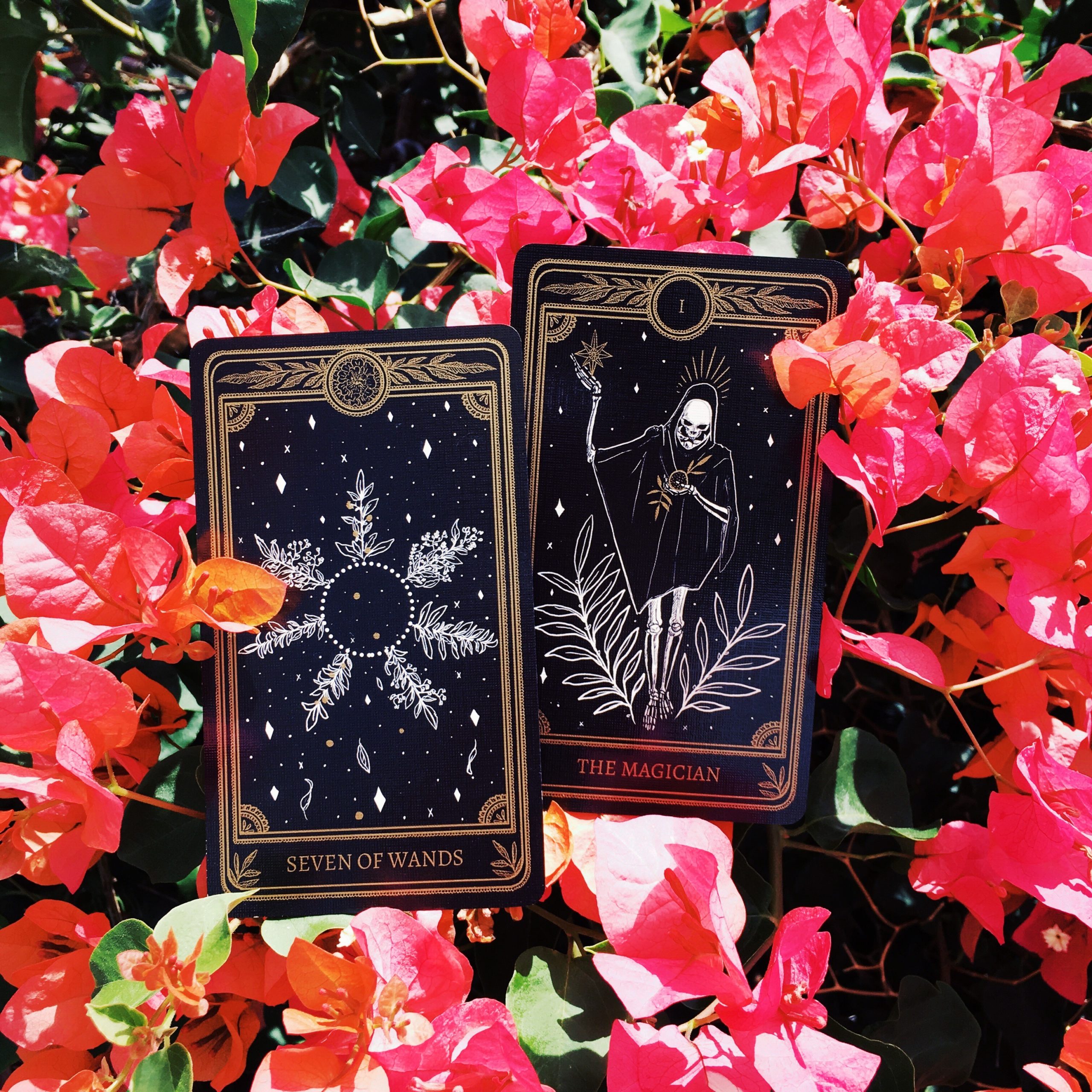 two tarot cards sitting in a branch of pink bougainvillea flowers